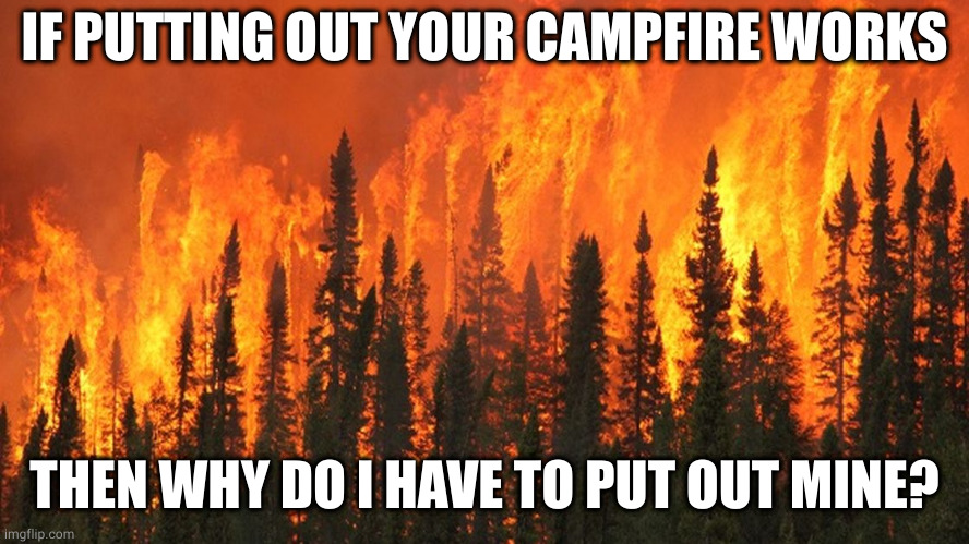 Forest fire | IF PUTTING OUT YOUR CAMPFIRE WORKS; THEN WHY DO I HAVE TO PUT OUT MINE? | image tagged in forest fire | made w/ Imgflip meme maker