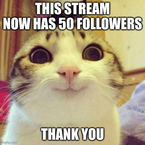 Smiling Cat | THIS STREAM NOW HAS 50 FOLLOWERS; THANK YOU | image tagged in memes,smiling cat | made w/ Imgflip meme maker