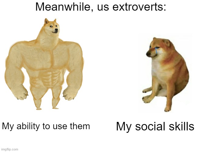 Buff Doge vs. Cheems Meme | Meanwhile, us extroverts: My ability to use them My social skills | image tagged in memes,buff doge vs cheems | made w/ Imgflip meme maker
