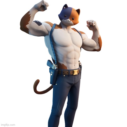 meowscles | image tagged in meowscles | made w/ Imgflip meme maker