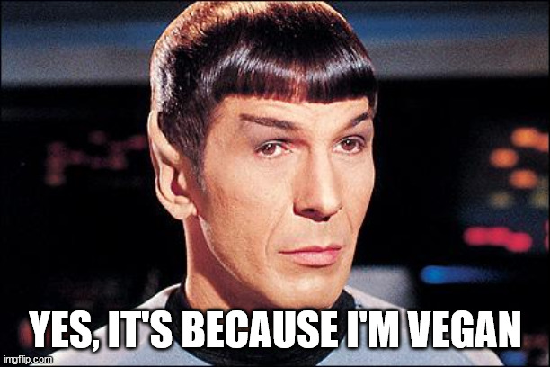 Condescending Spock | YES, IT'S BECAUSE I'M VEGAN | image tagged in condescending spock | made w/ Imgflip meme maker