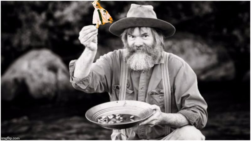 Prospector | image tagged in prospector | made w/ Imgflip meme maker