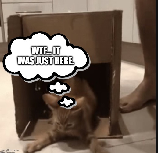 WTF... IT WAS JUST HERE. | made w/ Imgflip meme maker