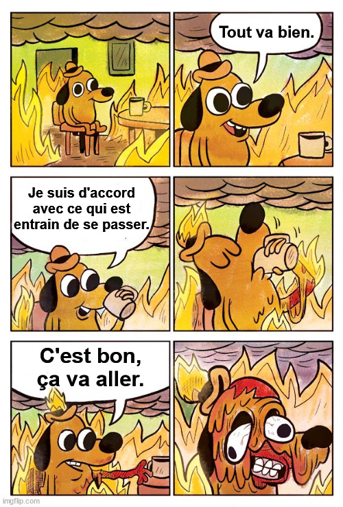 This is fine french version Blank Meme Template