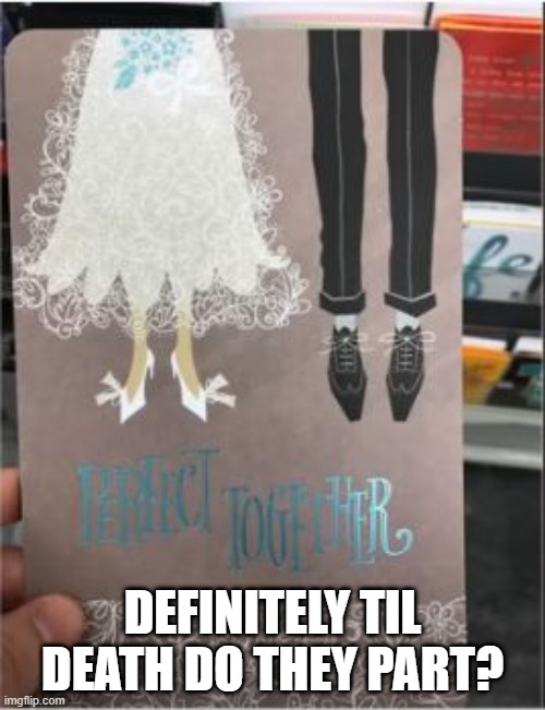 Hanging at the Wedding | DEFINITELY TIL DEATH DO THEY PART? | image tagged in you had one job | made w/ Imgflip meme maker