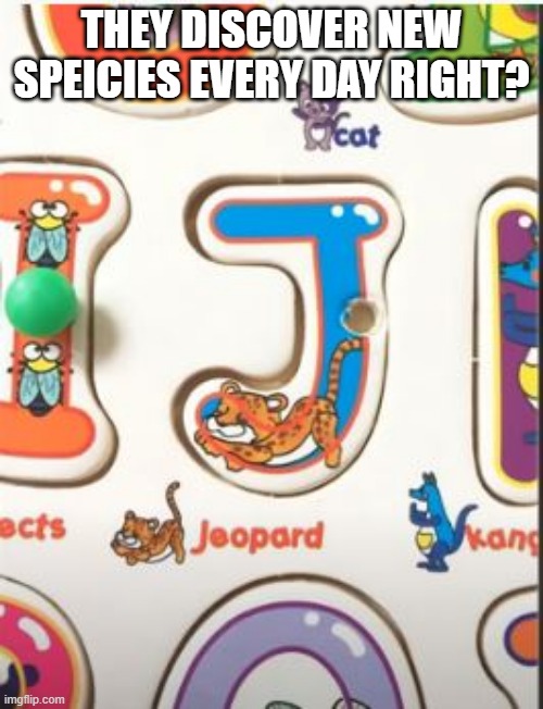 New Cat | THEY DISCOVER NEW SPEICIES EVERY DAY RIGHT? | image tagged in you had one job | made w/ Imgflip meme maker