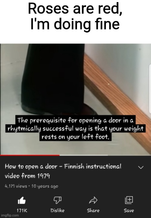 Who would even need to watch this? | Roses are red, I'm doing fine | image tagged in door,finland,certified bruh moment,roses are red | made w/ Imgflip meme maker