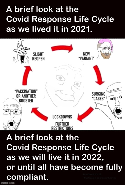 A look at the 2021 Covid Response Life Cycle as we lived it and will live it again and again and again until all have complied | image tagged in memes,life cycle,new year 2022 | made w/ Imgflip meme maker