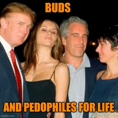 Orangeman good | BUDS; AND PEDOPHILES FOR LIFE | image tagged in trump epstein | made w/ Imgflip meme maker