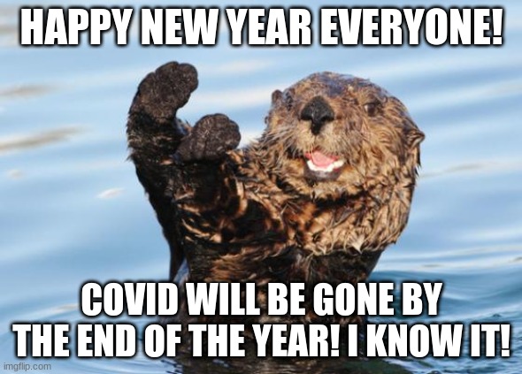 happy new year! | HAPPY NEW YEAR EVERYONE! COVID WILL BE GONE BY THE END OF THE YEAR! I KNOW IT! | image tagged in otter celebration | made w/ Imgflip meme maker