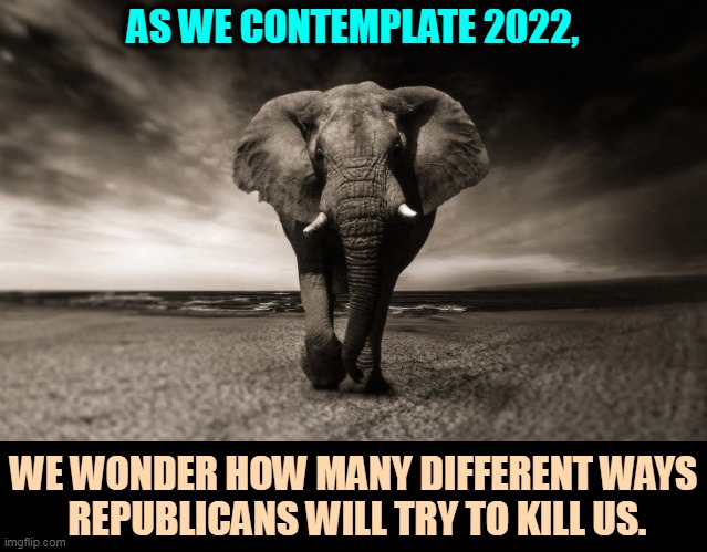If you hate science, it'll hate you back. | AS WE CONTEMPLATE 2022, WE WONDER HOW MANY DIFFERENT WAYS
 REPUBLICANS WILL TRY TO KILL US. | image tagged in a republican elephant threatening your life and democracy,republicans,gop,anti vax,murder,americans | made w/ Imgflip meme maker