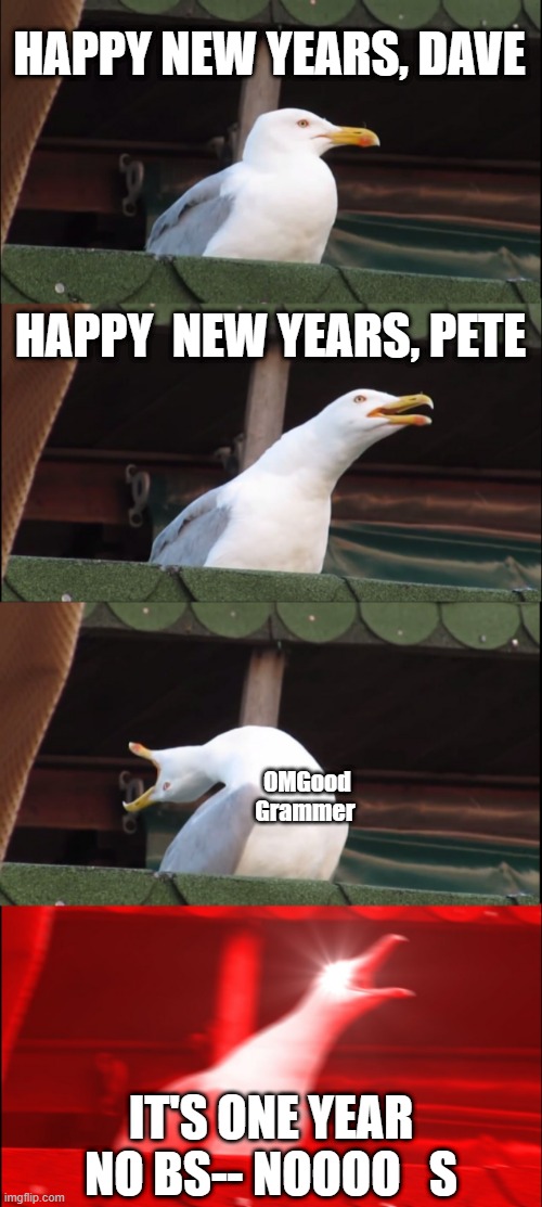 Inhaling Seagull | HAPPY NEW YEARS, DAVE; HAPPY  NEW YEARS, PETE; OMGood Grammer; IT'S ONE YEAR
NO BS-- NOOOO   S | image tagged in memes,inhaling seagull | made w/ Imgflip meme maker