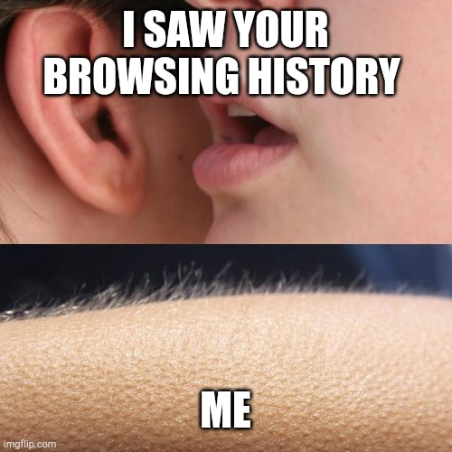 Whisper and Goosebumps | I SAW YOUR BROWSING HISTORY; ME | image tagged in whisper and goosebumps | made w/ Imgflip meme maker