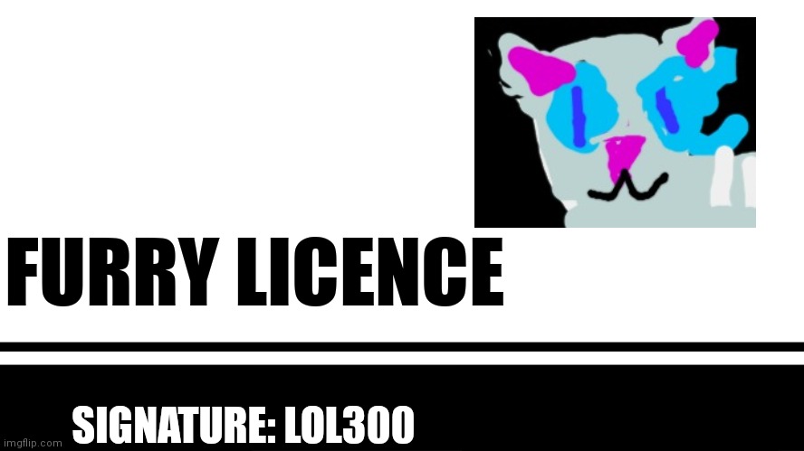 Furry license | FURRY LICENCE; SIGNATURE: LOL300 | image tagged in license | made w/ Imgflip meme maker