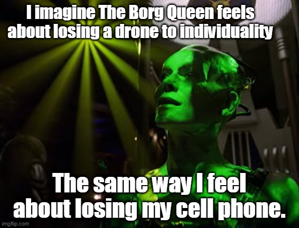 Lost Drone/Phone | I imagine The Borg Queen feels about losing a drone to individuality; The same way I feel about losing my cell phone. | image tagged in borg queen,the borg,star trek | made w/ Imgflip meme maker