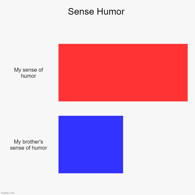 HAHAHAHAHAHAHAHAHAHAHAHAHAHAHAHAHAHAHAHAHAHAHA | Sense Humor | My sense of humor, My brother's sense of humor | image tagged in charts,bar charts | made w/ Imgflip chart maker