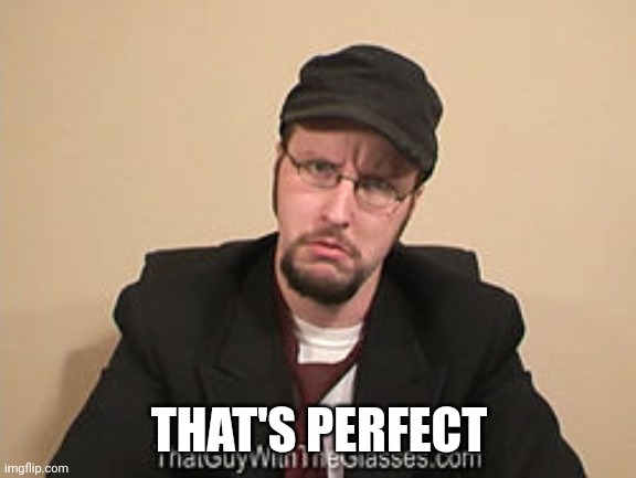 Nostalgia Critic | THAT'S PERFECT | image tagged in nostalgia critic | made w/ Imgflip meme maker