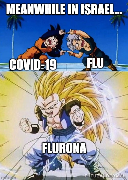 Flurona | MEANWHILE IN ISRAEL... FLU; COVID-19; FLURONA | image tagged in dbz fusion,coronavirus,covid-19,flu,israel,memes | made w/ Imgflip meme maker