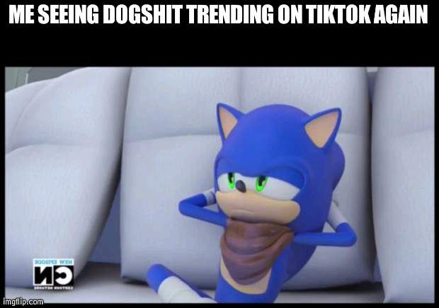 Sonic Doesn't Care | ME SEEING DOGSHIT TRENDING ON TIKTOK AGAIN | image tagged in sonic doesn't care | made w/ Imgflip meme maker