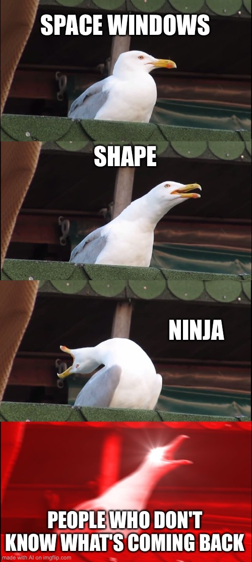 When AI tries to write a meme… | SPACE WINDOWS; SHAPE; NINJA; PEOPLE WHO DON'T KNOW WHAT'S COMING BACK | image tagged in memes,inhaling seagull | made w/ Imgflip meme maker