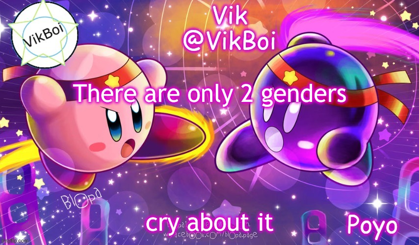 I'm not sorry | There are only 2 genders; cry about it | image tagged in vikboi better kirby announcement | made w/ Imgflip meme maker