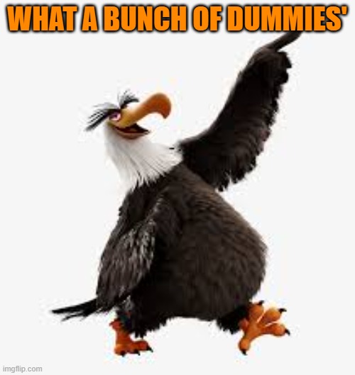 angry birds eagle | WHAT A BUNCH OF DUMMIES' | image tagged in angry birds eagle | made w/ Imgflip meme maker