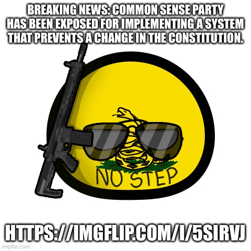 This is big! | BREAKING NEWS: COMMON SENSE PARTY HAS BEEN EXPOSED FOR IMPLEMENTING A SYSTEM THAT PREVENTS A CHANGE IN THE CONSTITUTION. HTTPS://IMGFLIP.COM/I/5SIRVJ | image tagged in libertarianism ball | made w/ Imgflip meme maker