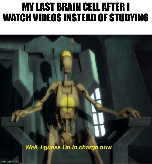 Guess I'm in charge now |  MY LAST BRAIN CELL AFTER I WATCH VIDEOS INSTEAD OF STUDYING | image tagged in guess i'm in charge now | made w/ Imgflip meme maker