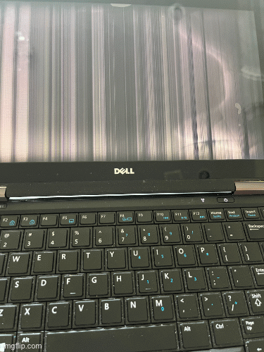 image tagged in gifs | made w/ Imgflip images-to-gif maker