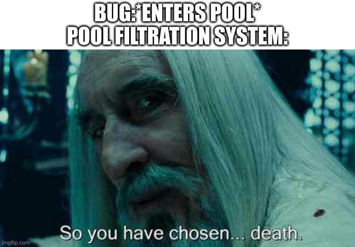 i own a pool so i know |  BUG:*ENTERS POOL*
POOL FILTRATION SYSTEM: | image tagged in so you have chosen death | made w/ Imgflip meme maker