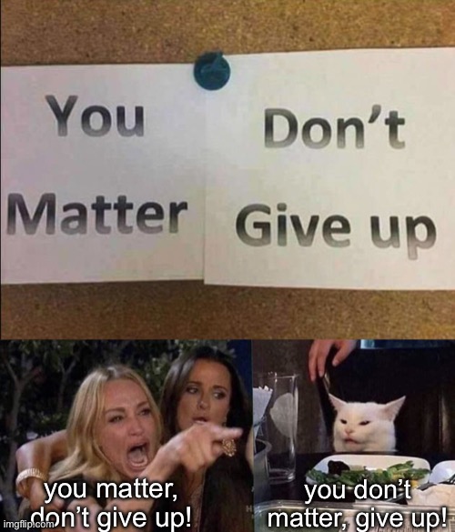 *facepalm* | you don’t matter, give up! you matter, don’t give up! | image tagged in woman yelling at cat,funny,memes,stupid signs,you had one job,oh wow are you actually reading these tags | made w/ Imgflip meme maker