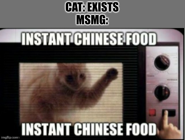 CAT: EXISTS
MSMG: | image tagged in instant chinese food | made w/ Imgflip meme maker