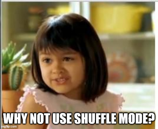 Why not both | WHY NOT USE SHUFFLE MODE? | image tagged in why not both | made w/ Imgflip meme maker