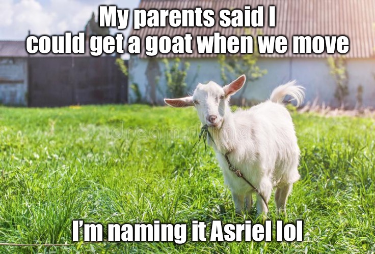 YESSSS! | My parents said I could get a goat when we move; I’m naming it Asriel lol | made w/ Imgflip meme maker