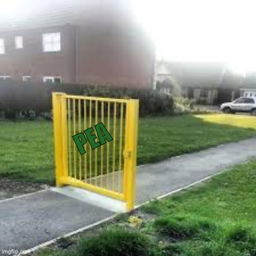 Useless Gate | PEA | image tagged in useless gate | made w/ Imgflip meme maker