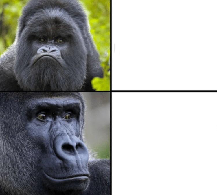 monke drake Blank Meme Template