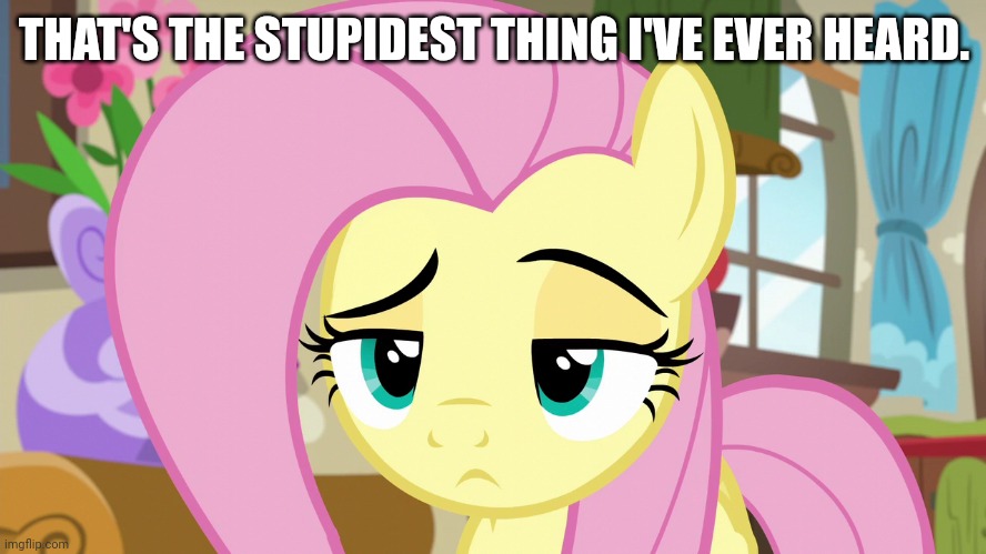 Skeptical Fluttershy (MLP) | THAT'S THE STUPIDEST THING I'VE EVER HEARD. | image tagged in skeptical fluttershy mlp | made w/ Imgflip meme maker