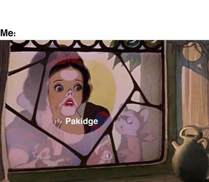 High Quality Pakidge Blank Meme Template