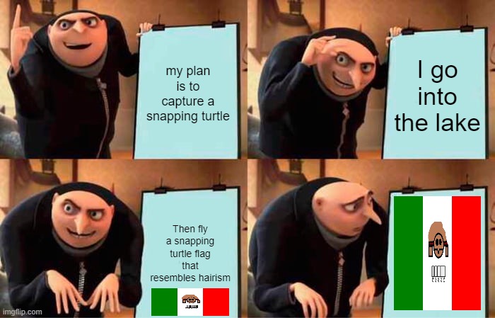 gru finds a snapping turtle flag | my plan is to capture a snapping turtle; I go into the lake; Then fly a snapping turtle flag that resembles hairism | image tagged in memes,gru's plan | made w/ Imgflip meme maker