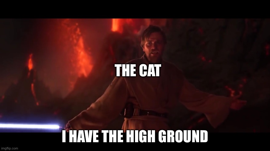 I have the high ground | THE CAT I HAVE THE HIGH GROUND | image tagged in i have the high ground | made w/ Imgflip meme maker