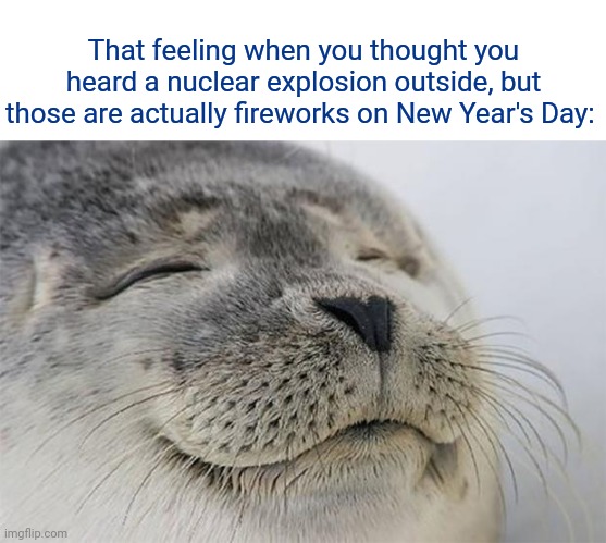 Fireworks | That feeling when you thought you heard a nuclear explosion outside, but those are actually fireworks on New Year's Day: | image tagged in memes,satisfied seal,happy new year,funny,fireworks,blank white template | made w/ Imgflip meme maker