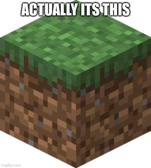Minecraft grass | ACTUALLY ITS THIS | image tagged in minecraft grass | made w/ Imgflip meme maker