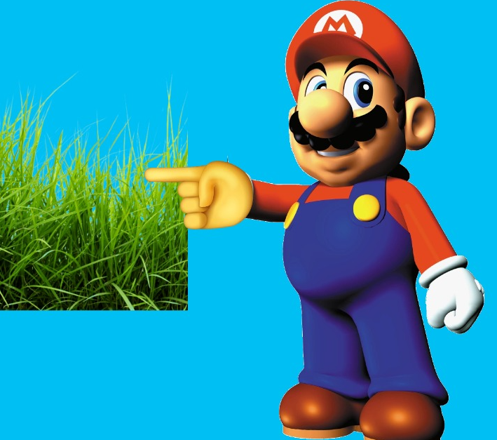 Mario touching grass Blank Meme Template