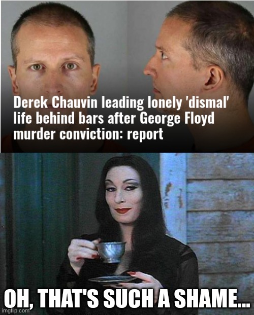 Well they could always put him in Gen Pop... | OH, THAT'S SUCH A SHAME... | image tagged in morticia drinking tea,black lives matter,blue lives murder,acab,yes all cops | made w/ Imgflip meme maker