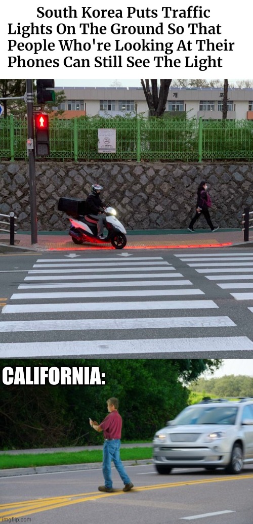CALIFORNIA NEEDS THAT |  CALIFORNIA: | image tagged in cell phone,traffic,california,south korea,stupid people | made w/ Imgflip meme maker
