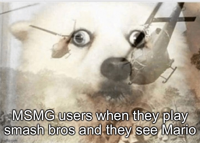 The Memer | MSMG users when they play smash bros and they see Mario | image tagged in ptsd dog | made w/ Imgflip meme maker