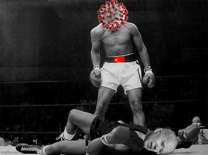 Knockout | image tagged in covid,knockout,joe biden,chinese,puppet | made w/ Imgflip meme maker