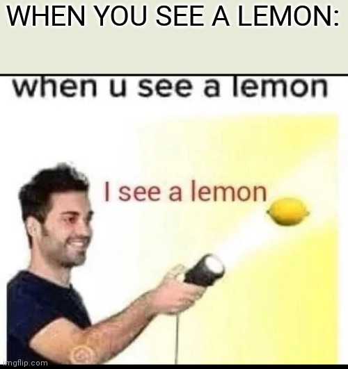 When you see a lemon | WHEN YOU SEE A LEMON: | image tagged in when you see a lemon | made w/ Imgflip meme maker