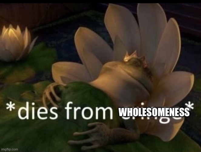 Dies from cringe | WHOLESOMENESS | image tagged in dies from cringe | made w/ Imgflip meme maker