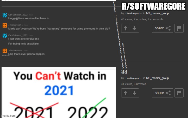 R/SOFTWAREGORE | made w/ Imgflip meme maker